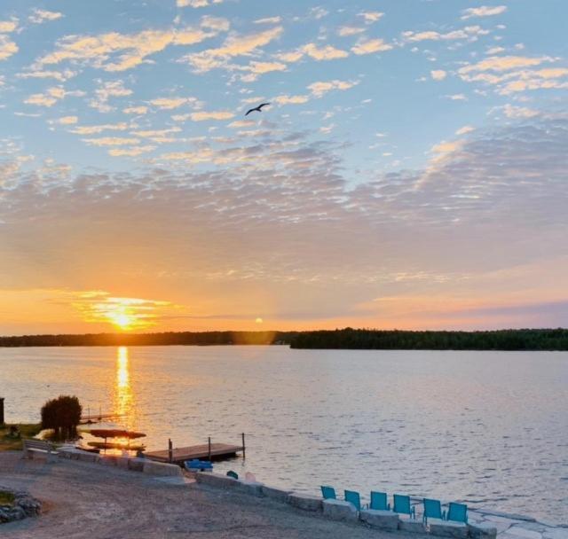 Stokes Bay Tamarac Island Motel المظهر الخارجي الصورة